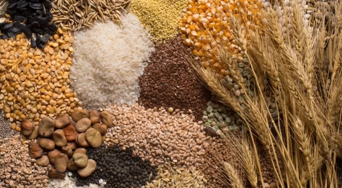 Hunger Management: 8 Tips for Controlling Cravings | MYPROTEIN™