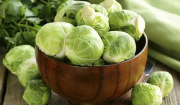 sprouts
