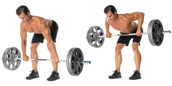 Back Weight Rows Beginners Back Workout | 4 Exercises For A Bigger, Stronger Back ...