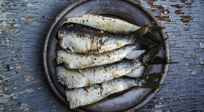 Plate of sardines seen from above