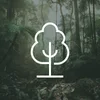 1 Tree Planted via THG (More Trees)