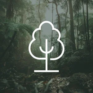 1 Tree Planted via THG (More Trees) - undefined undefined