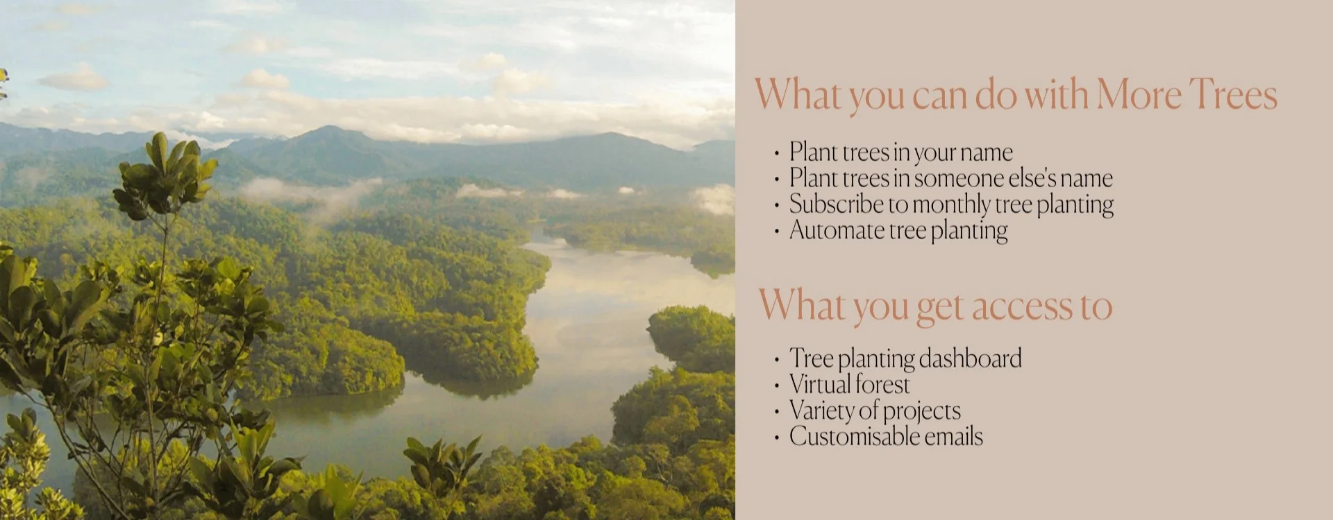 Introducing More Trees THG - what you can do with more trees