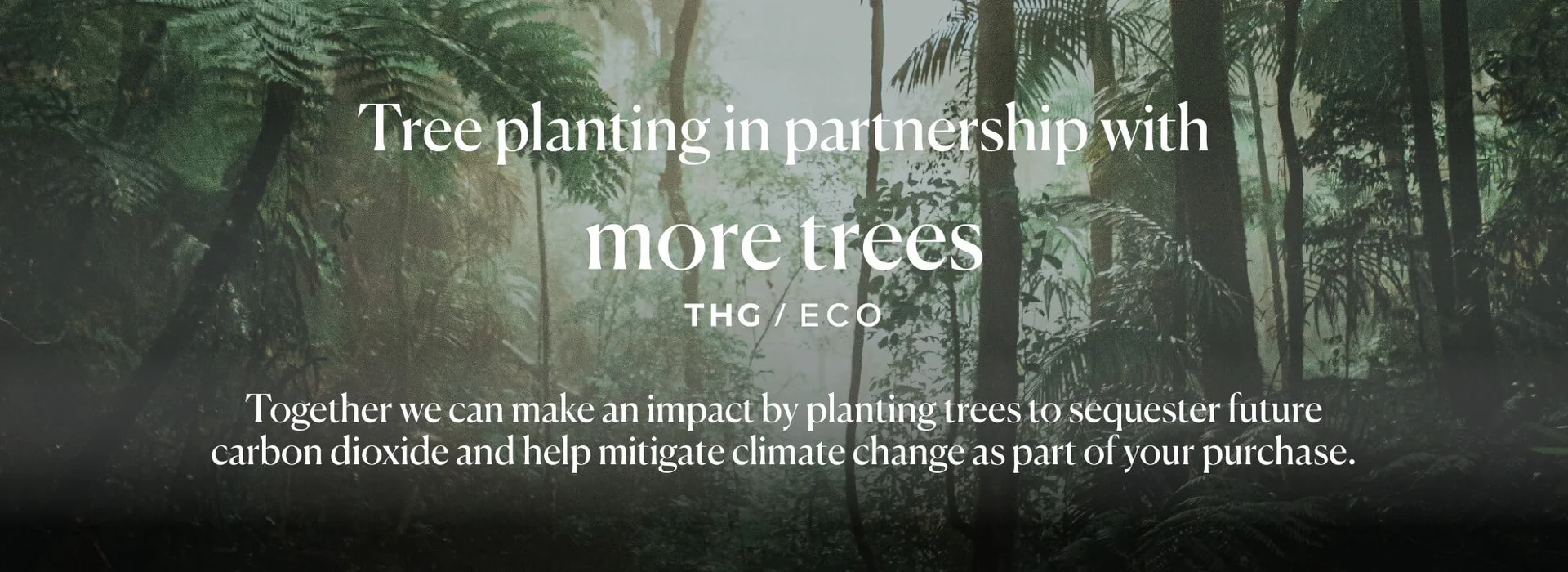 Introducing More Trees THG