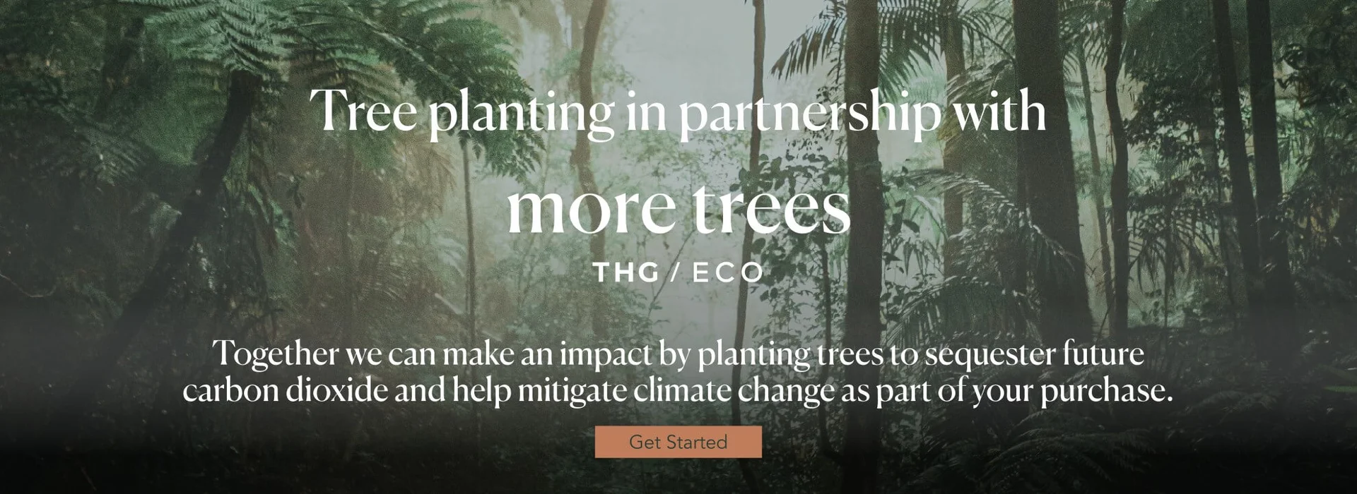 Introducing More Trees THG